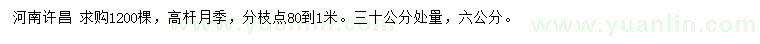 求購30公分量6公分高桿月季