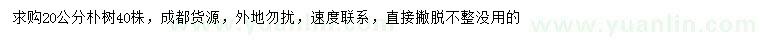 求購(gòu)20公分樸樹