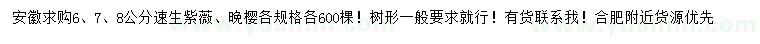 求購6、7、8公分速生紫薇、晚櫻