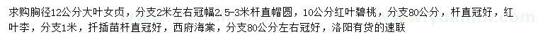 求購大葉女貞、紅葉碧桃、紅葉李等