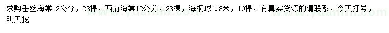 求購垂絲海棠、西府海棠、海桐球