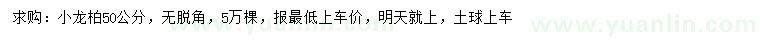 求購50公分龍柏