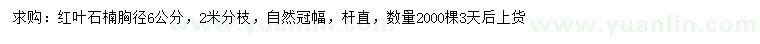 求購胸徑6公分紅葉石楠