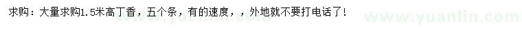 求購(gòu)高1.5米丁香