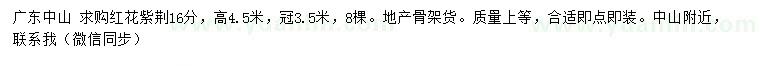 求購(gòu)16公分紅花紫荊