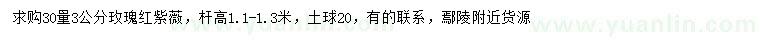 求購30公分量玫瑰紅紫薇