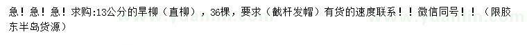 求購13公分旱柳