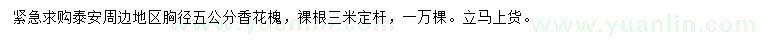 求購胸徑5公分香花槐