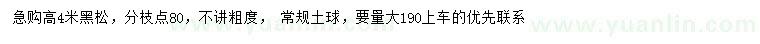 求購高4米黑松
