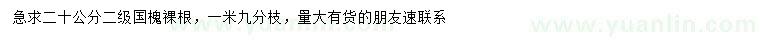求購20公分國槐
