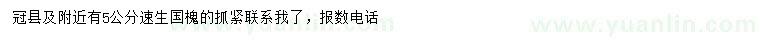 求購5公分速生國槐