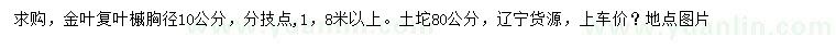 求購胸徑10公分金葉復(fù)葉槭