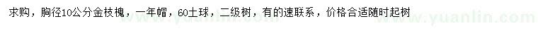 求購(gòu)胸徑10公分金枝槐