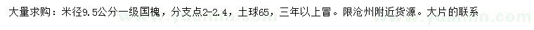 求購米徑9.5公分國槐