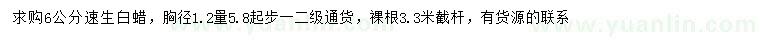求購胸徑1.2米量6公分速生白蠟