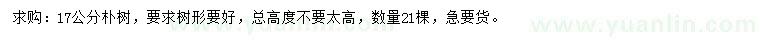 求購17公分樸樹