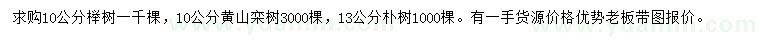 求購櫸樹、黃山欒、樸樹
