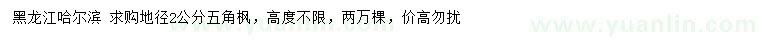 求購地徑2公分五角楓
