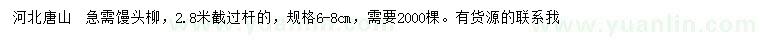 求購6-8公分饅頭柳