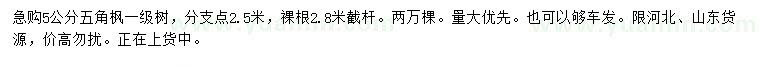 求購5公分五角楓