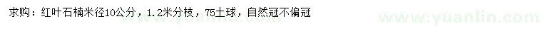 求購(gòu)米徑10公分紅葉石楠