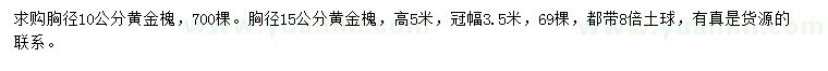 求購胸徑10、15公分黃金槐
