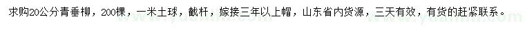 求購20公分青垂柳