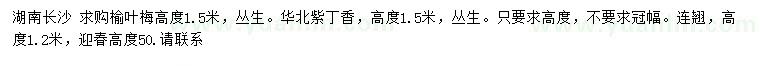求購榆葉梅、叢生華北紫丁香、連翹