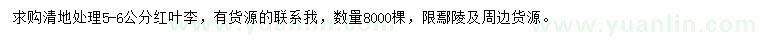 求購5-6公分紅葉李