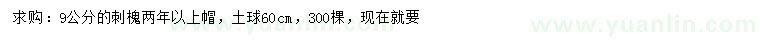 求購9公分刺槐