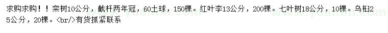 求購欒樹、紅葉李、七葉樹
