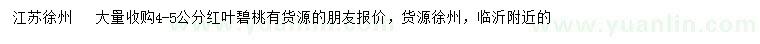 求購4-5公分紅葉碧桃