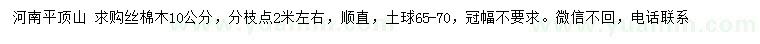求購10公分絲棉木