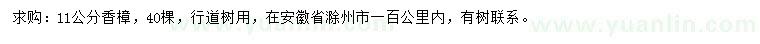 求購11公分香樟