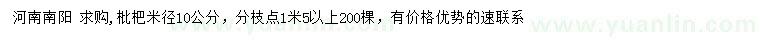 求購米徑10公分枇杷
