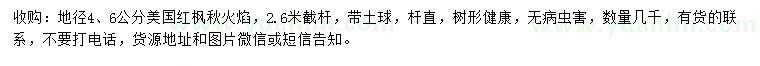 求購(gòu)地徑4、6公分美國(guó)紅楓秋火焰