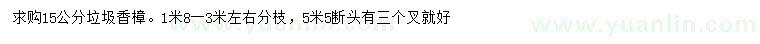 求購15公分垃圾香樟