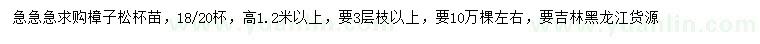 求購高1.2米以上樟子松