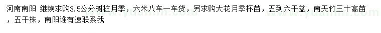 求購樹樁月季、大花月季、南天竹