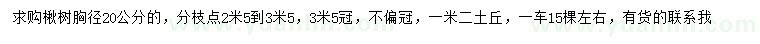 求購胸徑20公分的楸樹