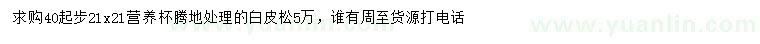 求購(gòu)40公分起步白皮松