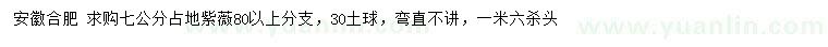 求購7公分占地紫薇