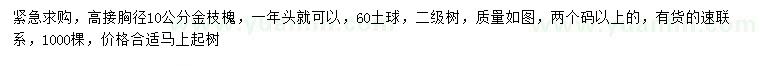 求購胸徑10公分金枝槐