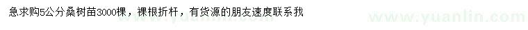 求購5公分桑樹