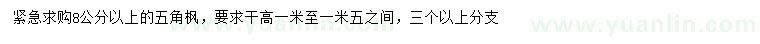 求購8公分以上五角楓