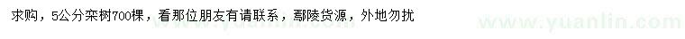 求購5公分欒樹