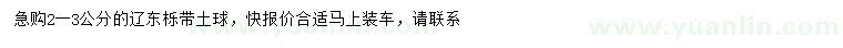 求購2-3公分遼東櫟