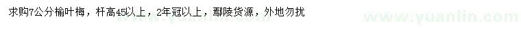 求購7公分榆葉梅