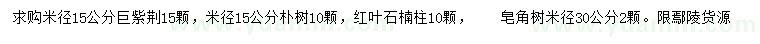 求購巨紫荊、樸樹、紅葉石楠柱等