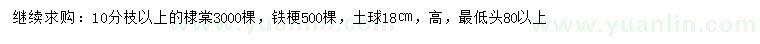 求購10公分棣棠、鐵梗